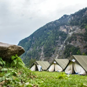 Douree – Your Ultimate Nature Experience!